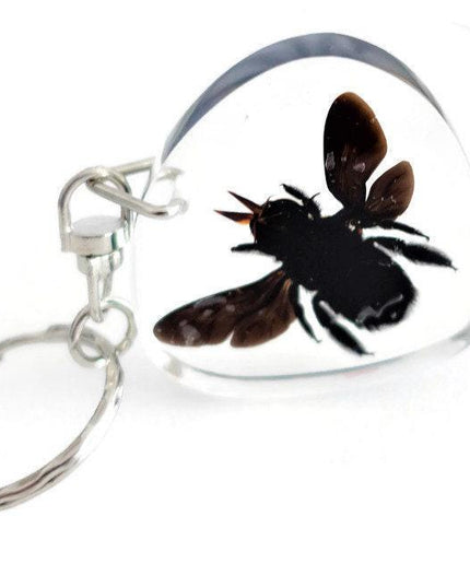 Real bee  keychain, resin keyring #2, xilocopa caerulea