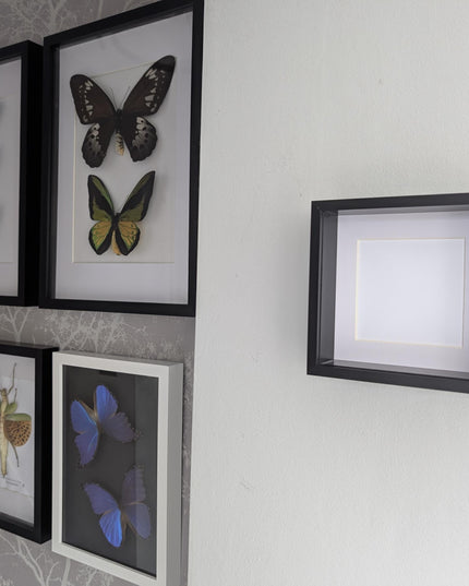6x6 black deep box photo frame: standing & hanging shadow box