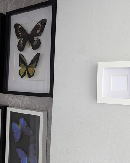 White 3d box photo frame 4x4: standing or hanging shadow box