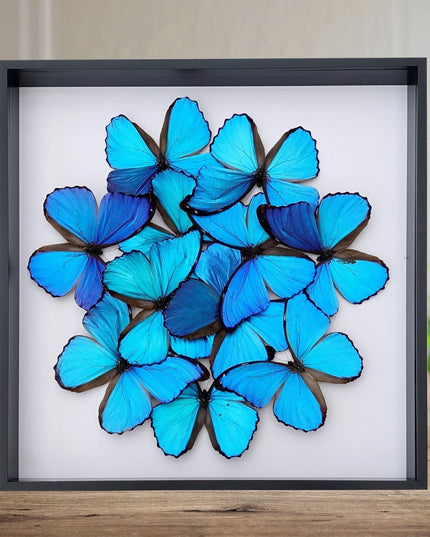 Iridescent blue morpho butterfly mosaic - framed 16" x 16"