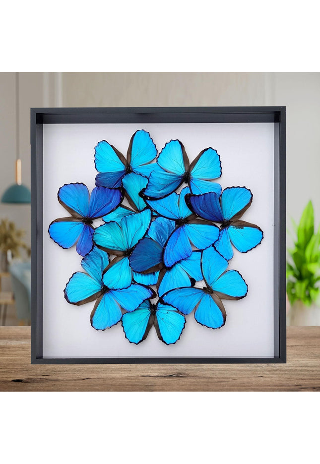 Iridescent blue morpho butterfly mosaic - framed 16" x 16"