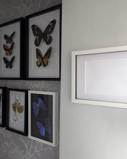 A4 white 3d shadow box frame: standing & hanging display