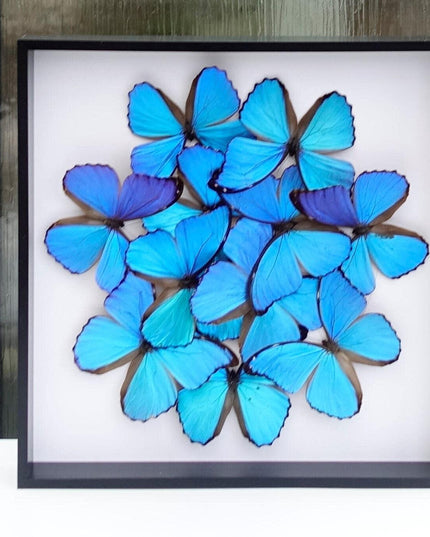 Iridescent blue morpho butterfly mosaic - framed 16" x 16"