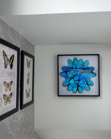 Iridescent blue morpho butterfly mosaic - framed 16" x 16"