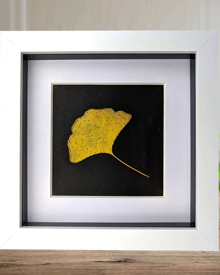 Framed pressed yellow ginkgo leaf art: natural botanical decor (6x6)