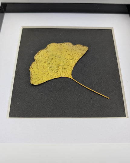 Framed pressed yellow ginkgo leaf art: natural botanical decor (6x6)