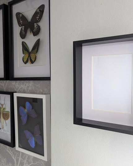 8x10 black 3d deep box photo frame: shadow box display