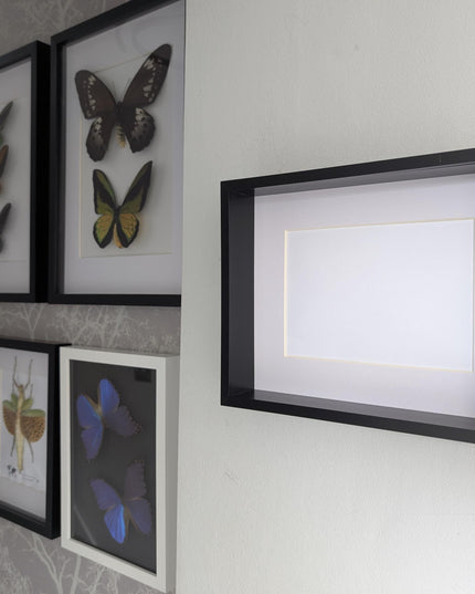 8x10 black 3d deep box photo frame: shadow box display