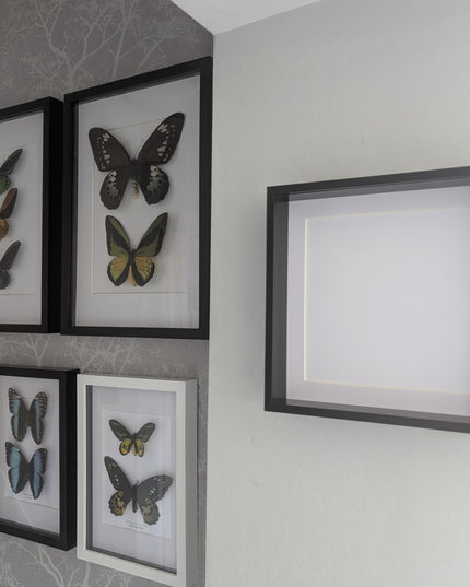 12x12 Black 3d deep box photo frame: shadow box display