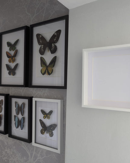 12x12 White 3d deep box photo frame:  shadow box display