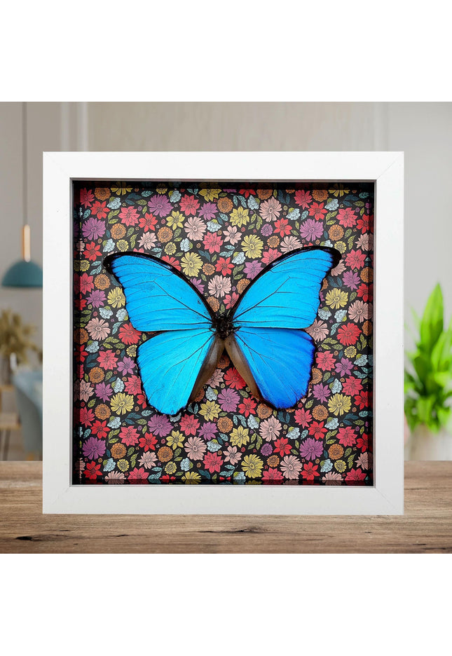 Framed Giant Blue Morpho Butterfly, Taxidermy Nature Art