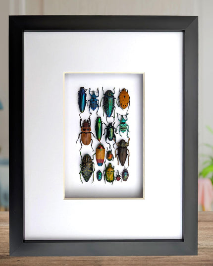 Framed Beetle Colourful Mosaic: ethically sourced entomology display (8x10), Entomology gift